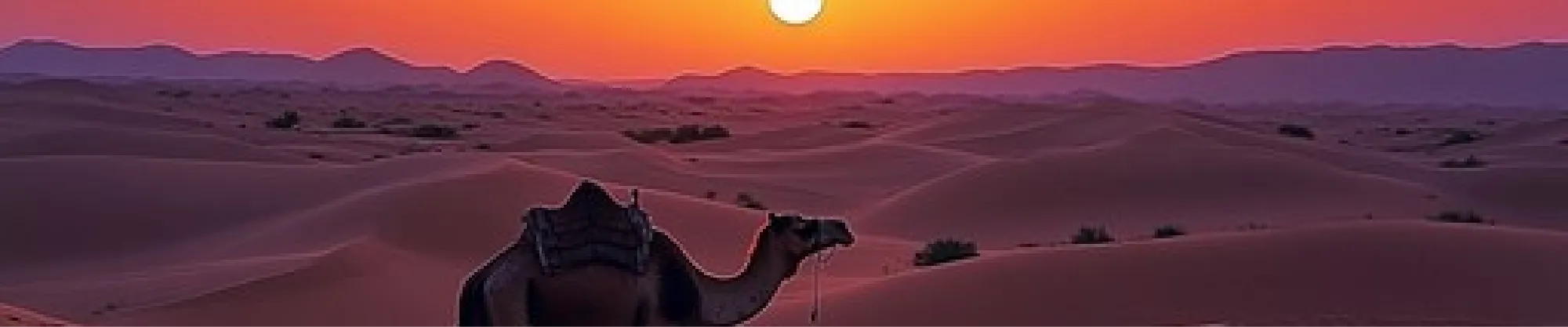 ﺟدول اﻟﻧﺷﺎطﺎت